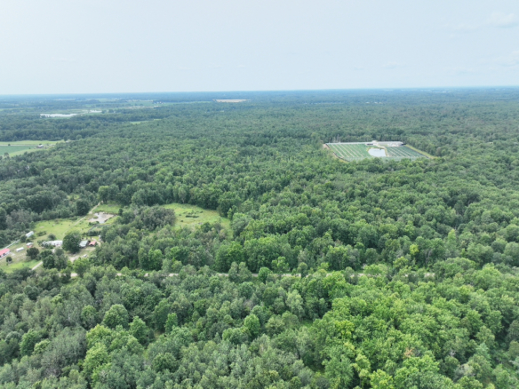 Iosco County – 40 Acres