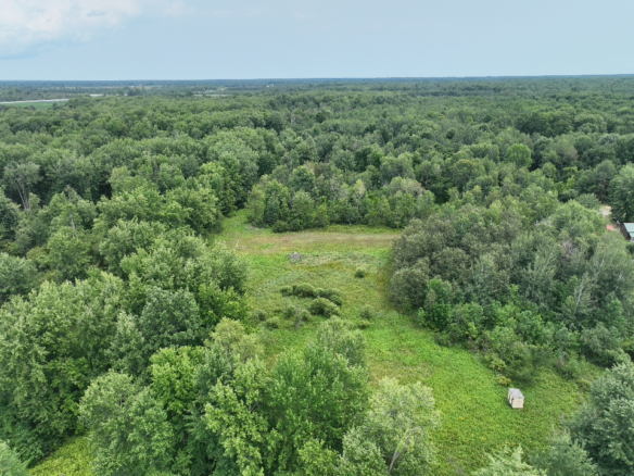 Iosco County – 40 Acres