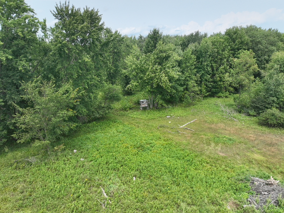Iosco County – 40 Acres