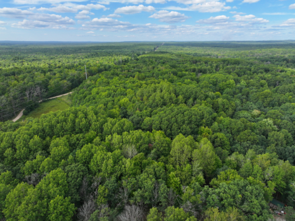 Lake County – 13.06 Acres