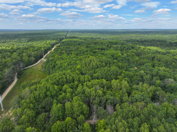 Lake County – 13.06 Acres