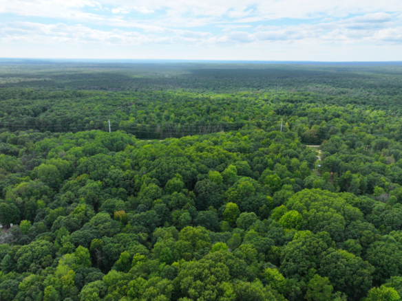 Lake County – 13.06 Acres