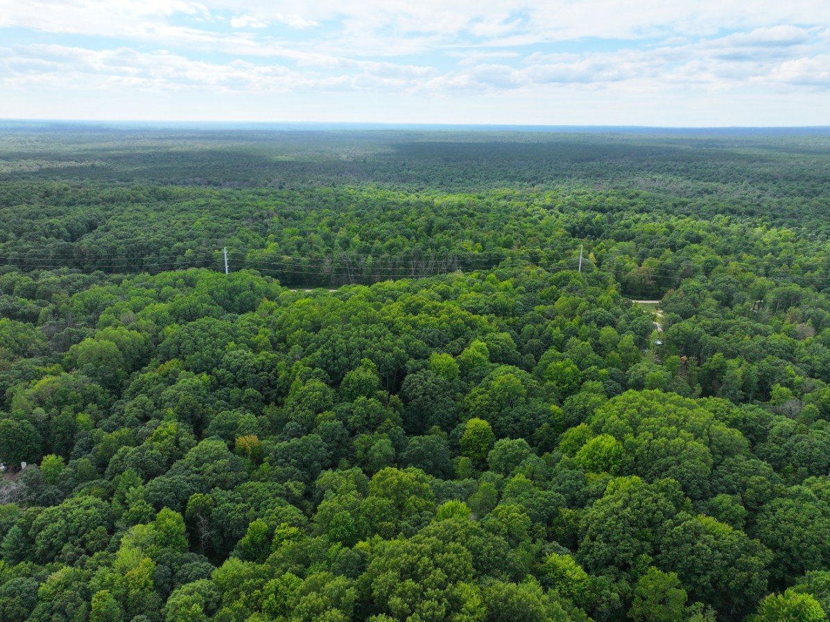 Lake County – 13.06 Acres