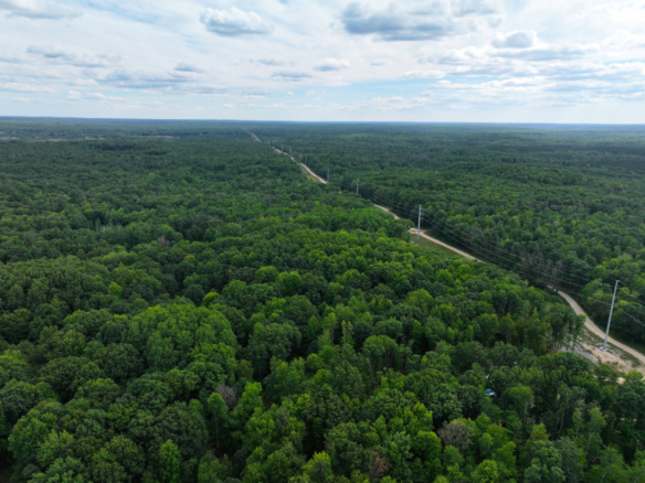 Lake County – 13.06 Acres