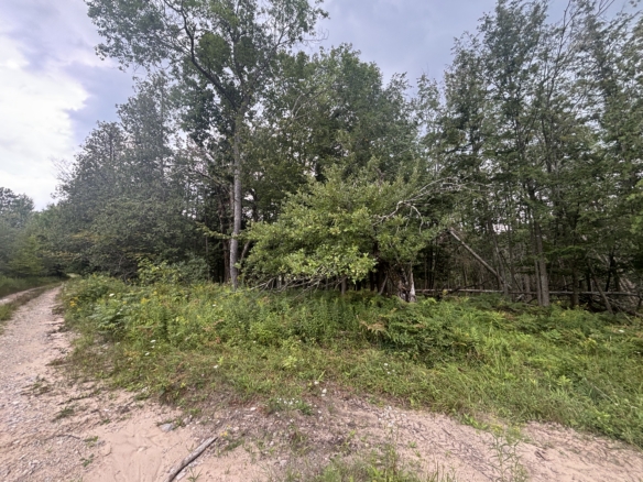 Antrim County – 40 Acres