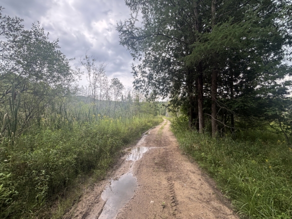 Antrim County – 40 Acres