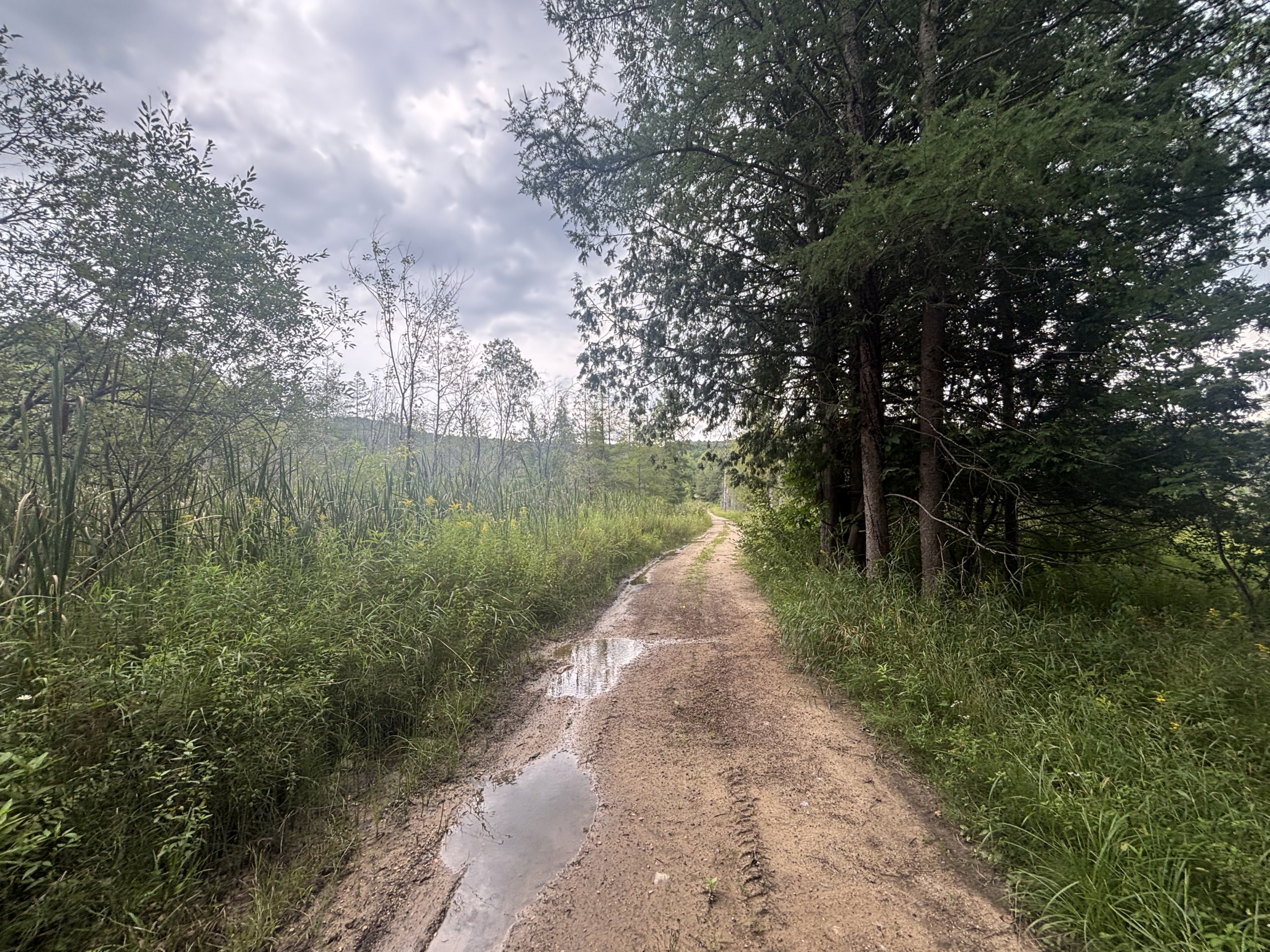 Antrim County – 40 Acres