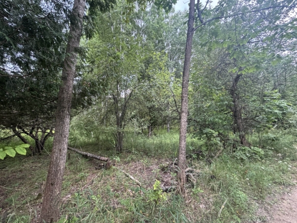 Antrim County – 40 Acres