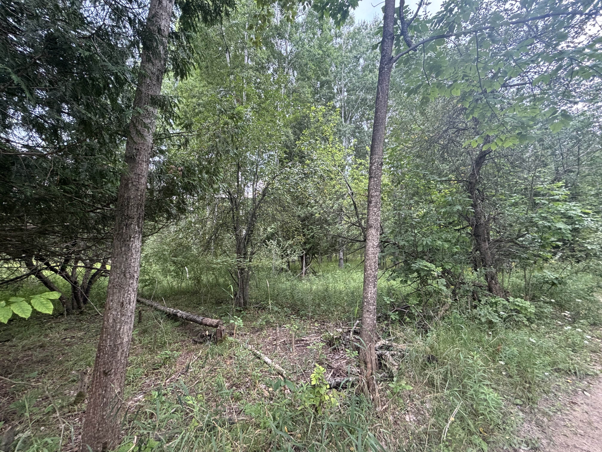 Antrim County – 40 Acres