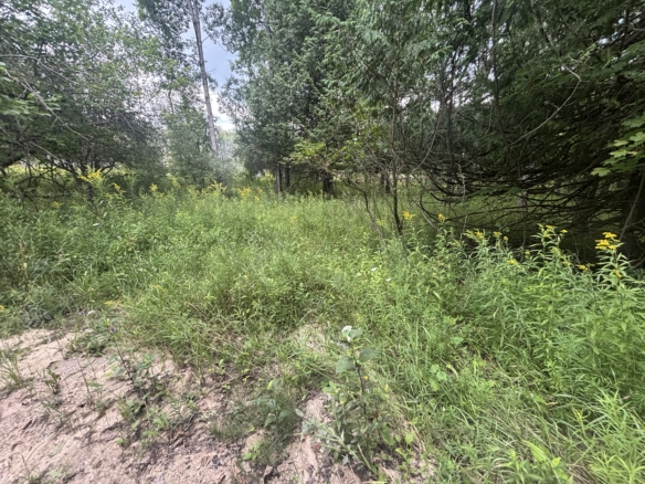 Antrim County – 40 Acres