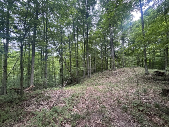 Antrim County – 40 Acres