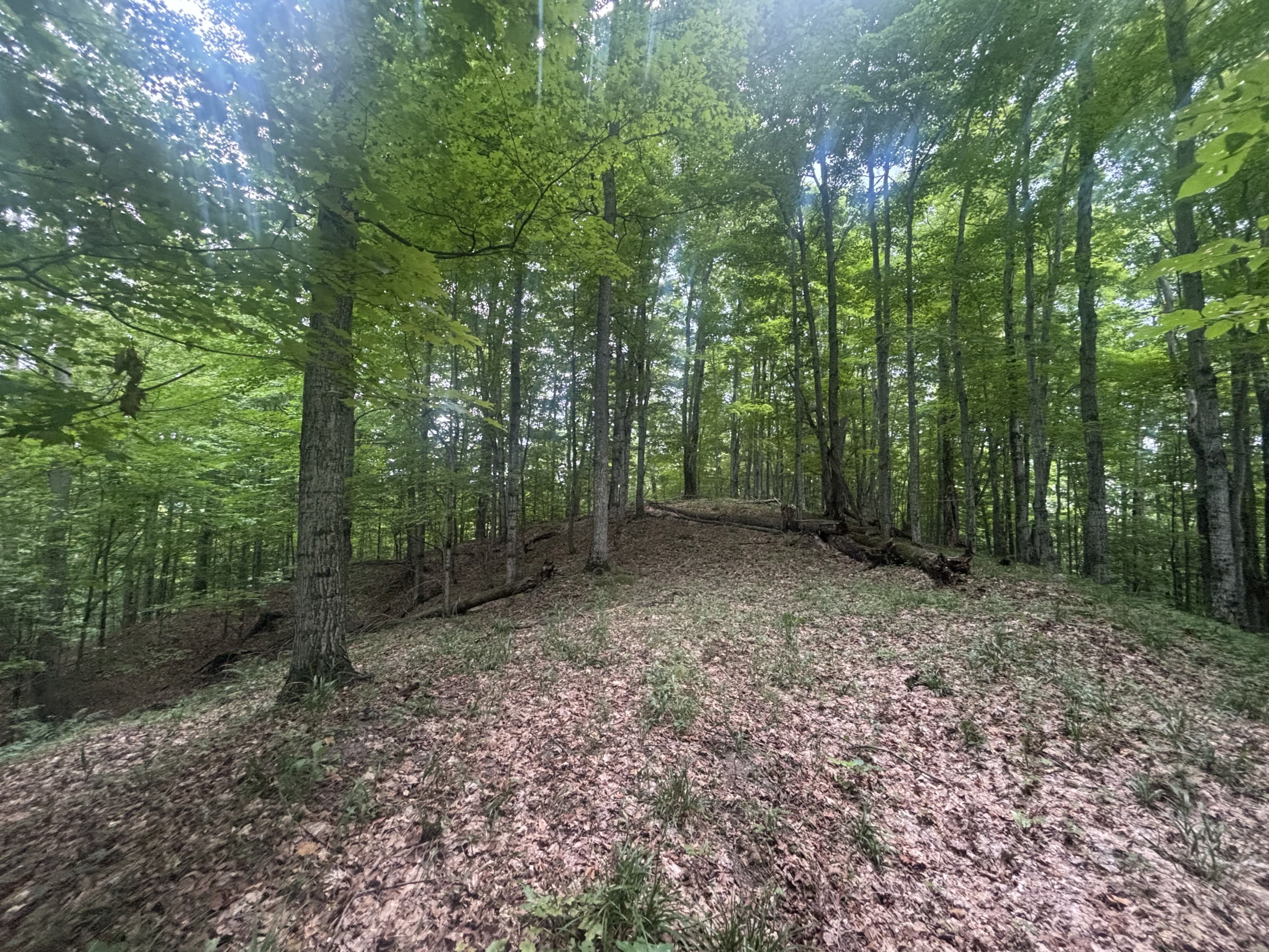 Antrim County – 40 Acres