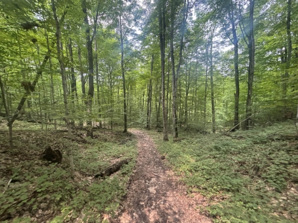 Antrim County – 40 Acres