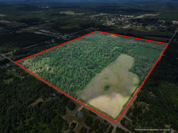 Otsego County – 129 +/- Acres