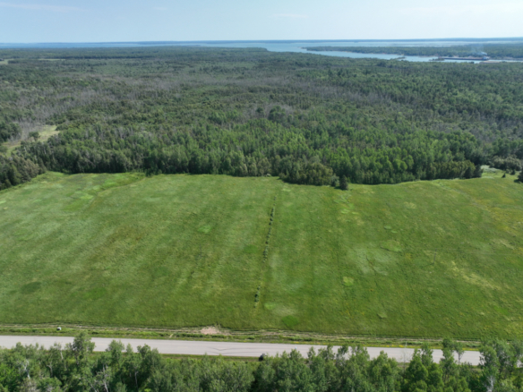 Chippewa County – 80 Acres