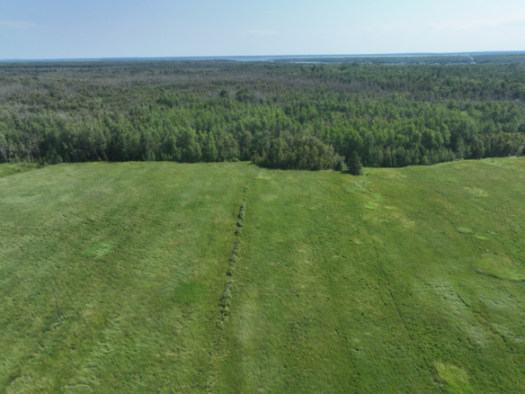 Chippewa County – 80 Acres