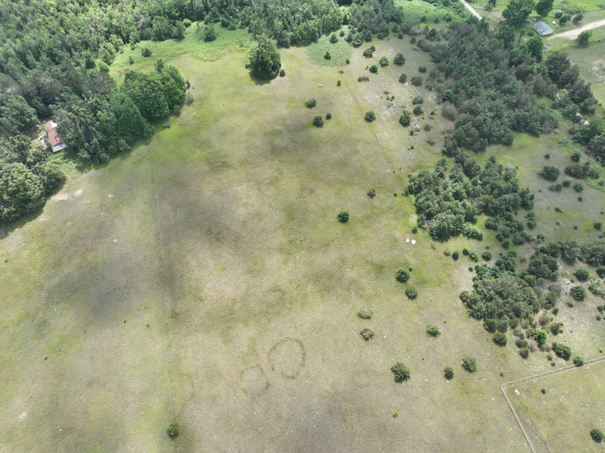 Otsego County – 24.75 +/- Acres