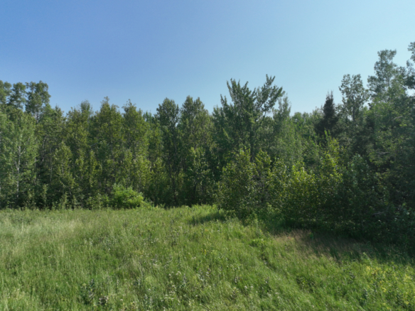 Chippewa County – 80 Acres
