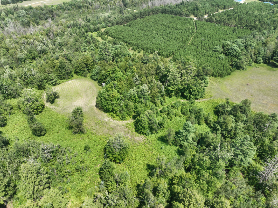 Otsego County – 129 +/- Acres