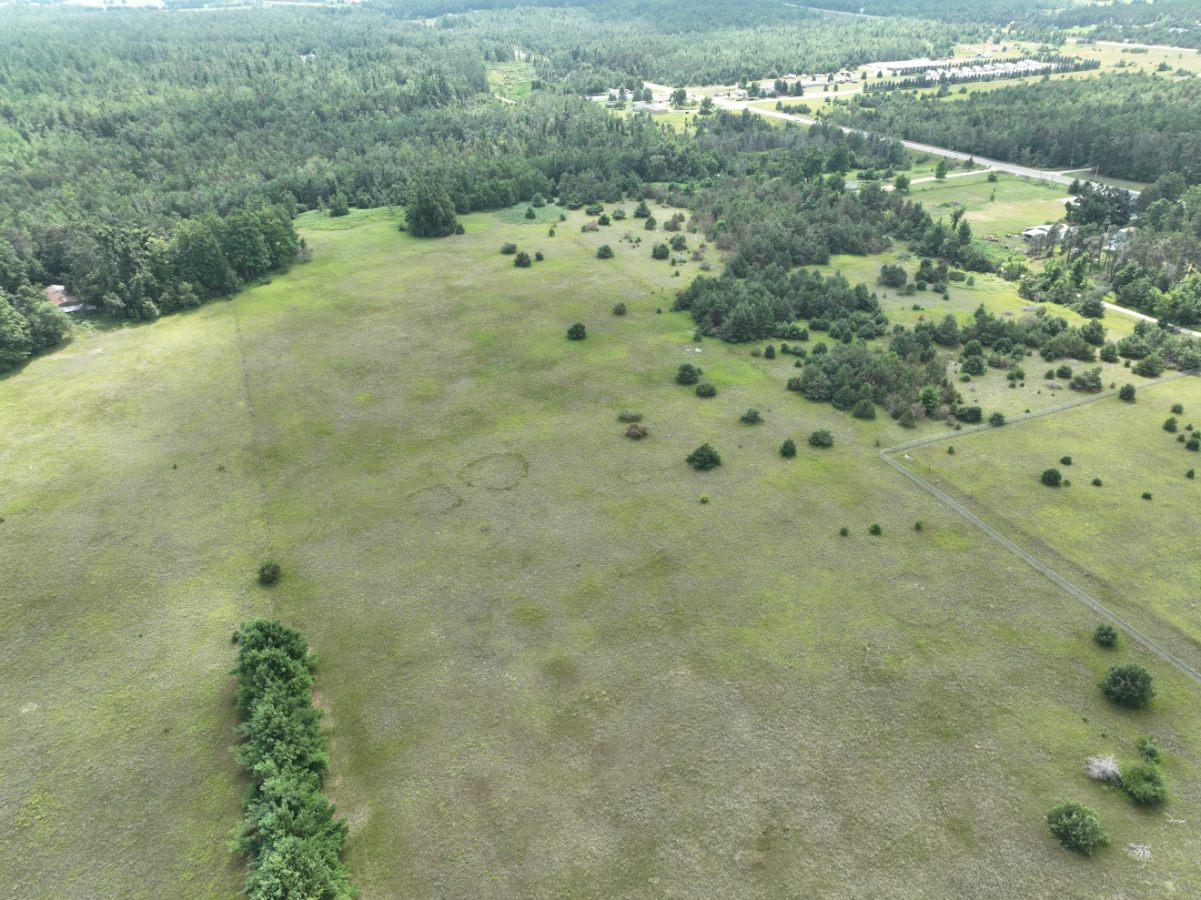 Otsego County – 24.75 +/- Acres
