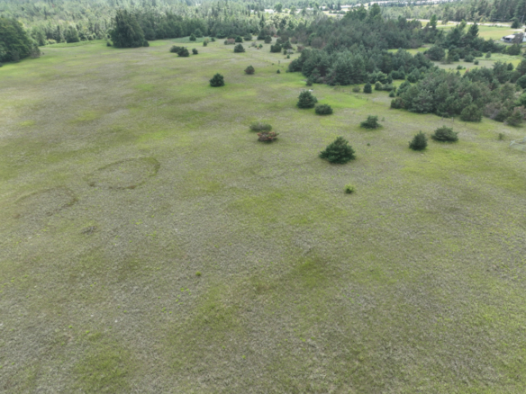 Otsego County – 24.75 +/- Acres