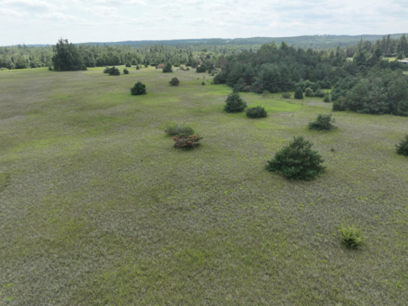 Otsego County – 24.75 +/- Acres
