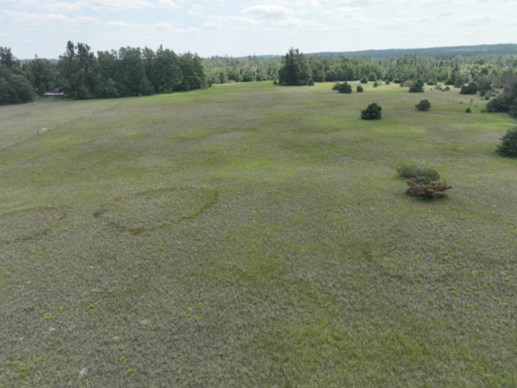 Otsego County – 24.75 +/- Acres