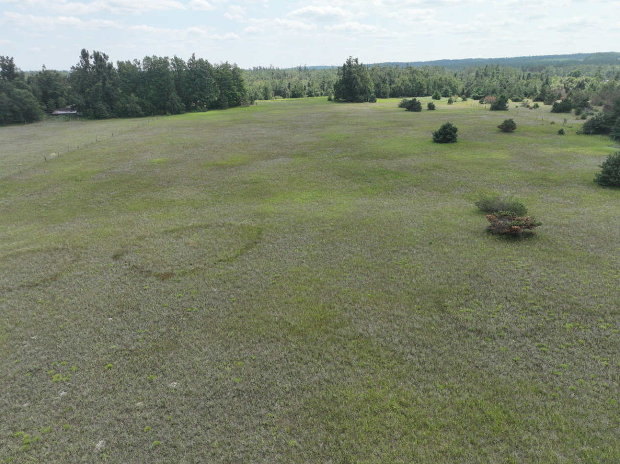 Otsego County – 24.75 +/- Acres