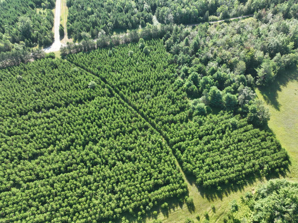 Otsego County – 129 +/- Acres
