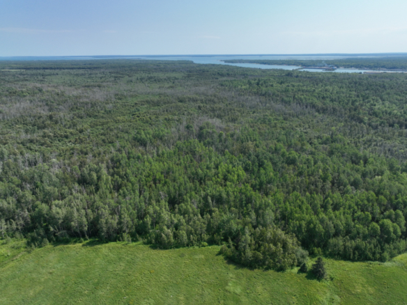 Chippewa County – 80 Acres