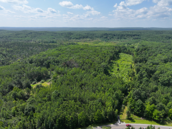 Alcona County – 165+/- Acres