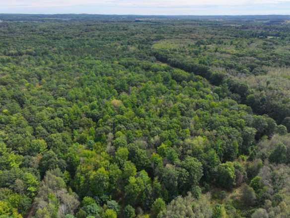 Oceana County – 5.5 Acres