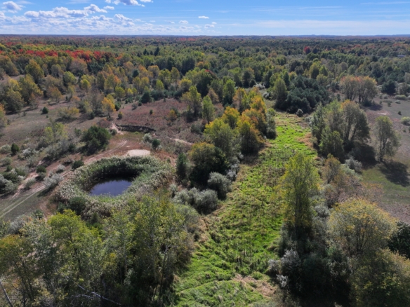 Mason County – 40 Acres