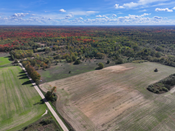 Mason County – 40 Acres