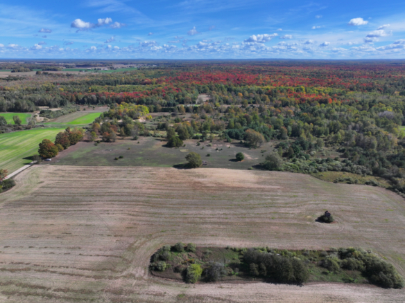 Mason County – 40 Acres