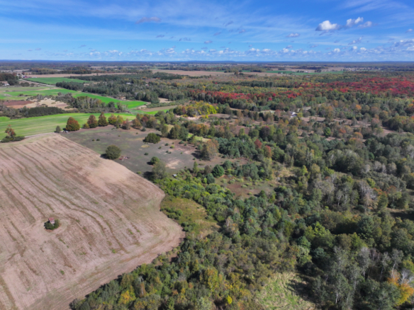 Mason County – 40 Acres