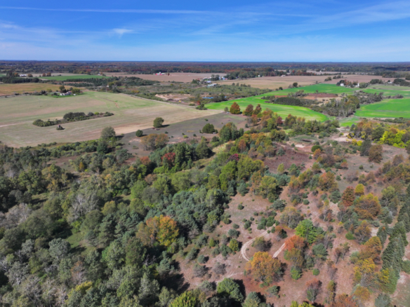 Mason County – 40 Acres