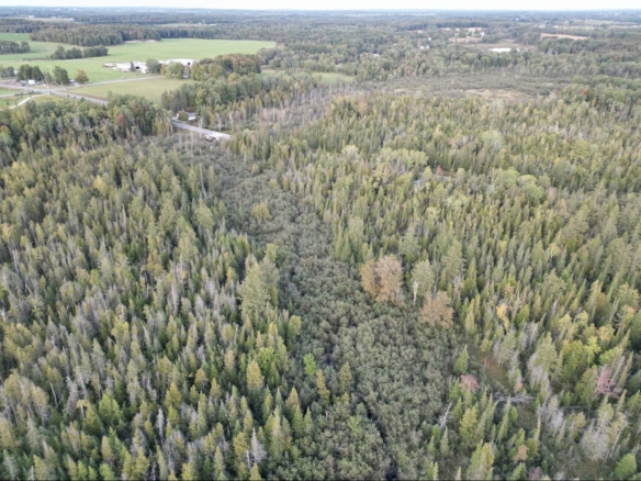 Osceola County – 26 +/- Acres