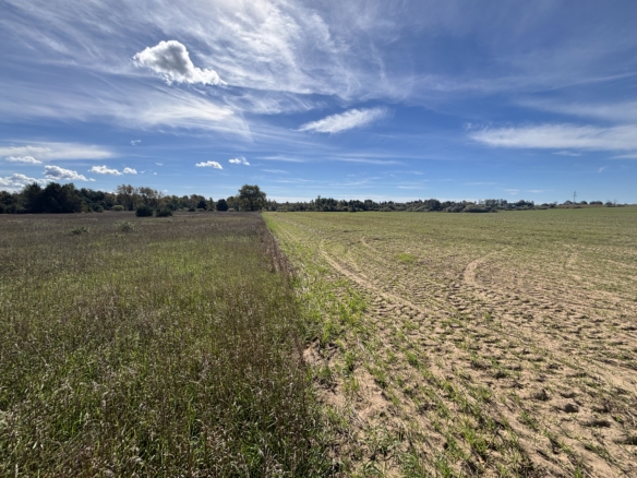Mason County – 40 Acres